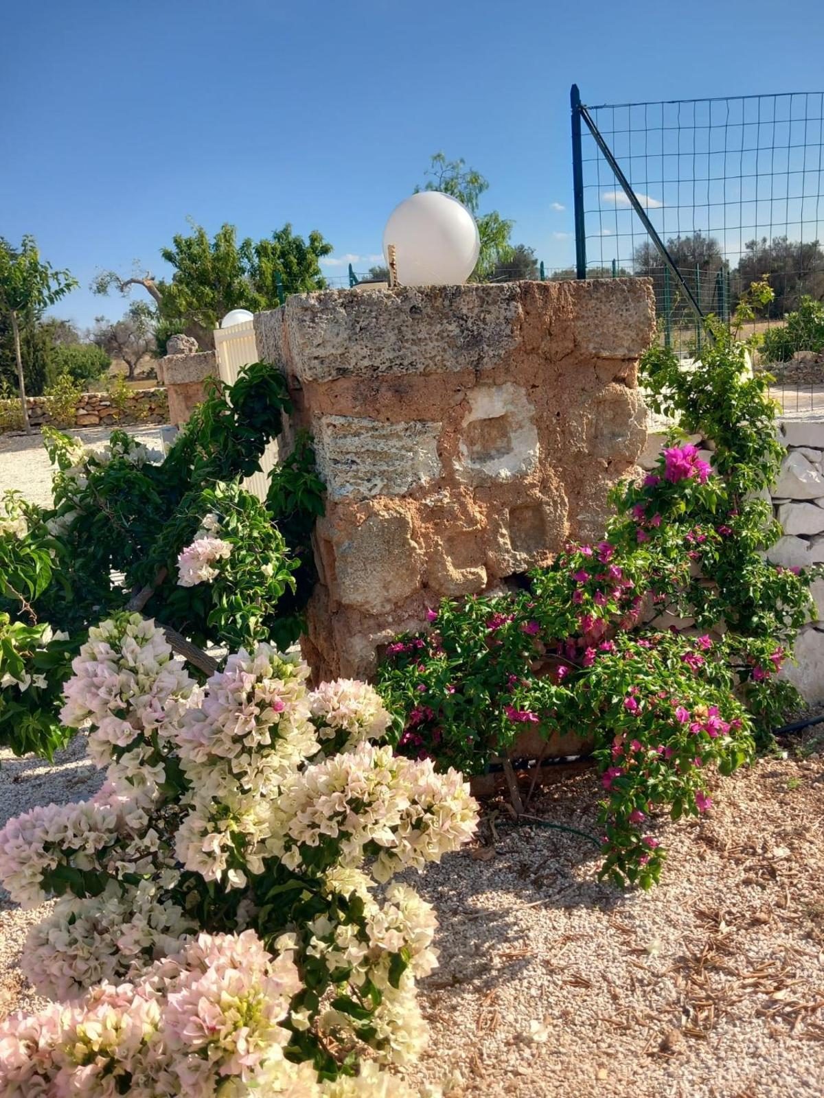 Trullo Flamingo · Villa con piscina privata a Carovigno, Puglia,  (Puglia)