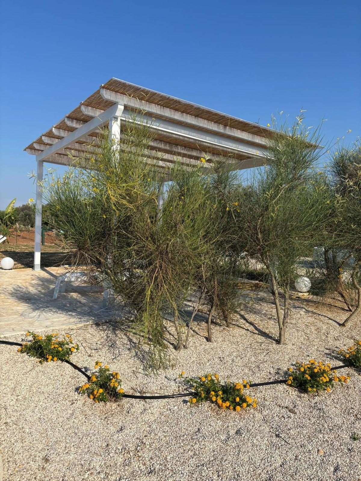 Trullo Flamingo · Villa con piscina privata a Carovigno, Puglia,  (Puglia)
