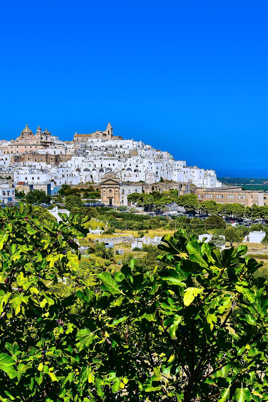 Trullo Flamingo · Villa con piscina privata a Carovigno, Puglia,  (Puglia)
