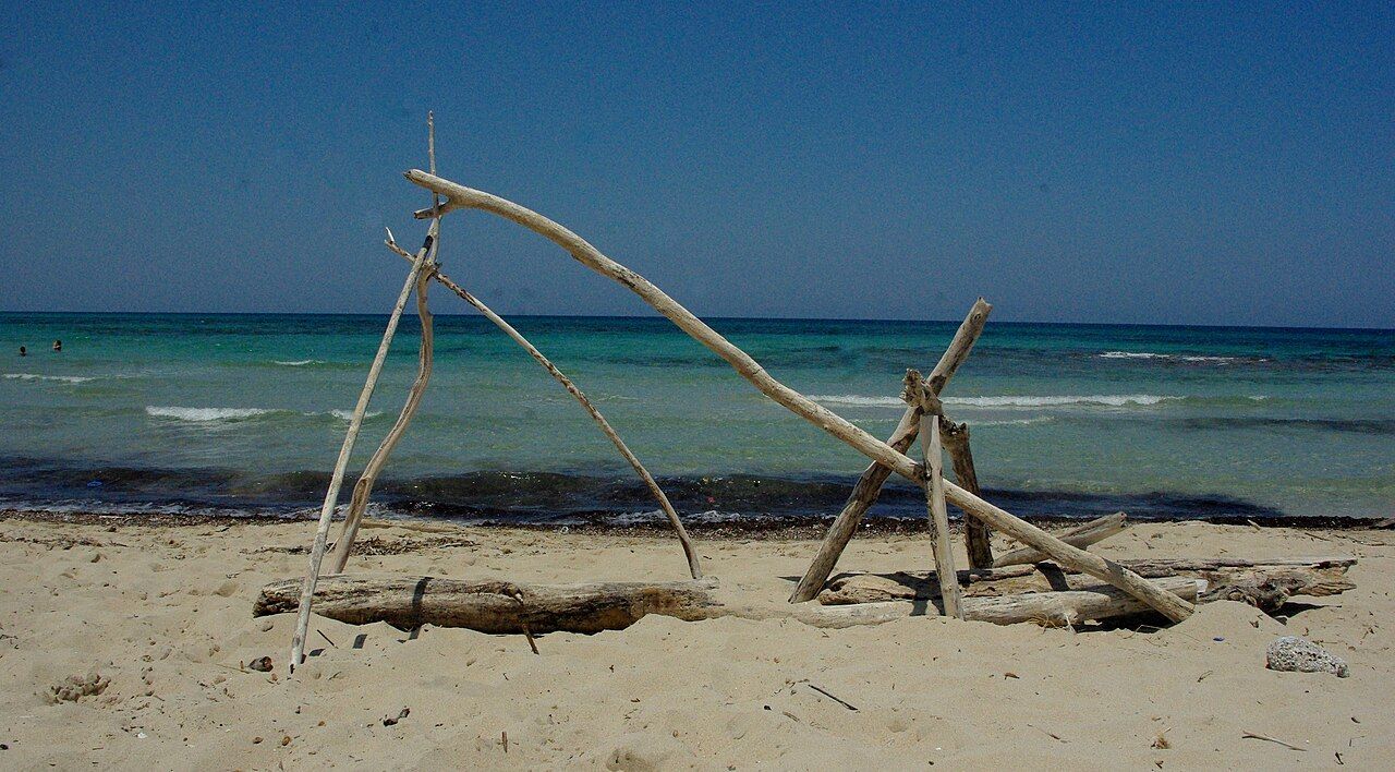 Legni portati dal mare sulla spiaggia di Torre Guaceto