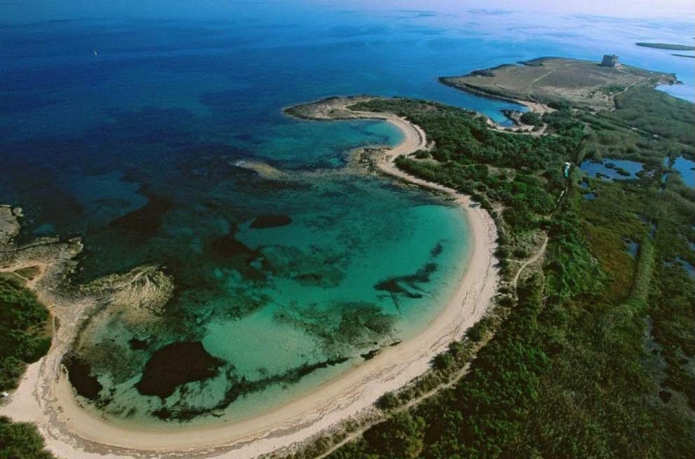 La spiaggia arcuata di Torre Guaceto vista dall’alto, con il mare turchese